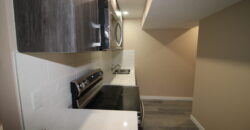 Savanna- Beautiful 1 Bedroom, 1 Bath Basement