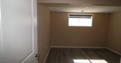 Savanna- Beautiful 1 Bedroom, 1 Bath Basement