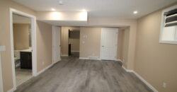 Savanna- Beautiful 1 Bedroom, 1 Bath Basement