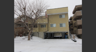 BANKVIEW- 1Br/1 Bath UNIT in SW CALGARY