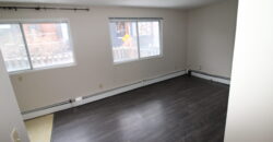 BANKVIEW- 1Br/1 Bath UNIT in SW CALGARY