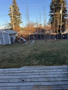 PHOTO 2025 11 07 10 55 40 6