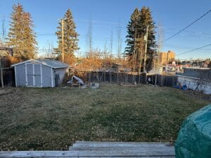 PHOTO 2025 11 07 10 55 41