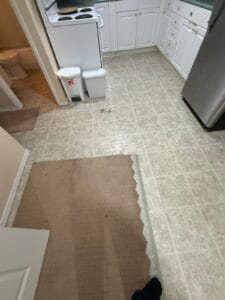 PHOTO 2025 11 08 15 10 36