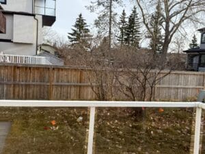 PHOTO 2025 11 08 15 10 48 5