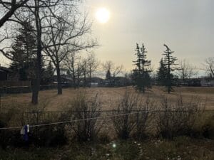 PHOTO 2025 11 08 15 10 48 6