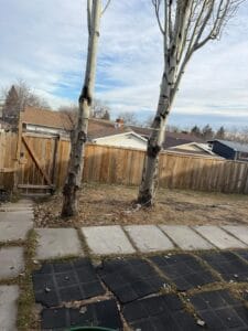 PHOTO 2025 11 22 14 15 24