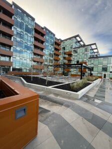 PHOTO 2025 11 28 07 09 47 5