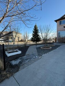 WhatsApp Image 2026 02 12 at 4.08.16 PM