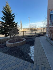 WhatsApp Image 2026 02 12 at 4.08.17 PM 1