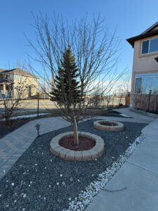 WhatsApp Image 2026 02 12 at 4.08.17 PM