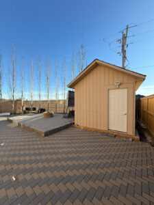 WhatsApp Image 2026 02 12 at 4.08.20 PM 2