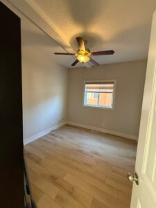 WhatsApp Image 2026 02 12 at 4.08.27 PM