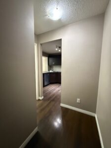 WhatsApp Image 2026 02 12 at 6.19.58 PM 1