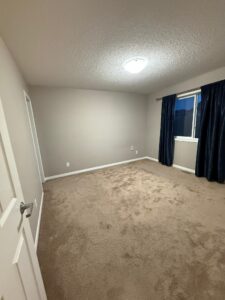 WhatsApp Image 2026 02 12 at 6.19.59 PM 3