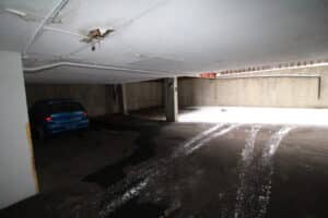 IMG 0101 1
