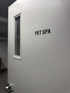 WhatsApp Image 2026 04 21 at 11.02.56 AM 4