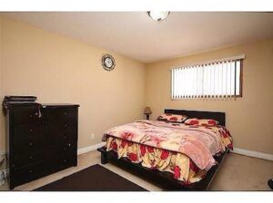 e731f645 043f 42da 9c3b 680f3b68e4c8