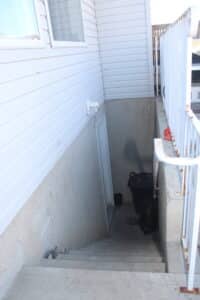 IMG 0008