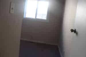 IMG 1001