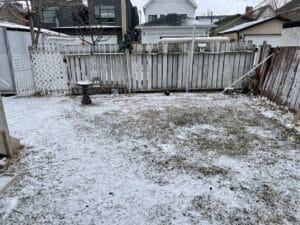 IMG 9652