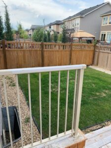 WhatsApp Image 2019 08 25 at 12.24.54 PM