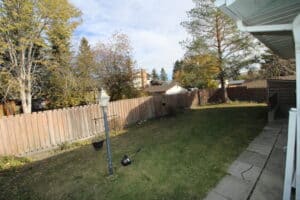 IMG 7197