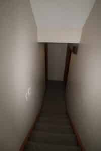 IMG 7239