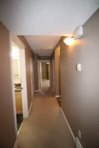 IMG 0185