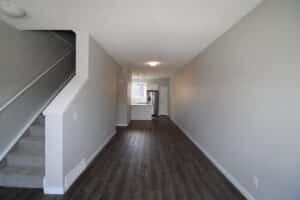 IMG 0735