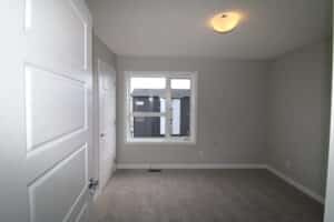 IMG 0741
