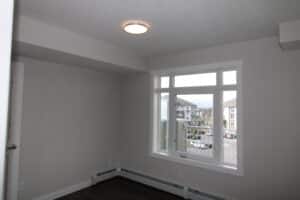 IMG 7753