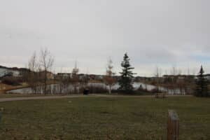 IMG 9287
