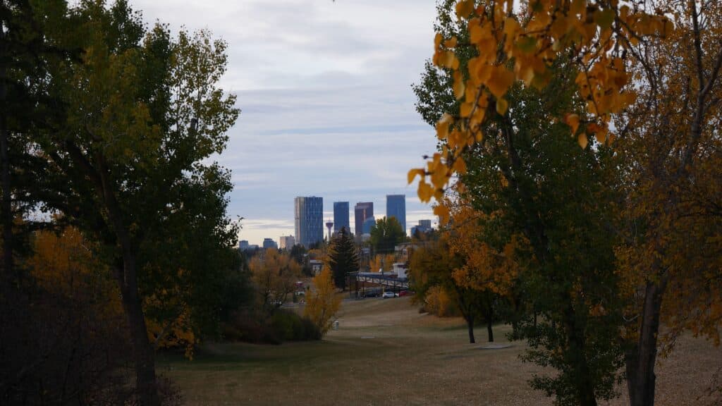 Downtown Calgary towers framed by autumn trees from a city park