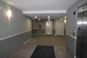 IMG 8039