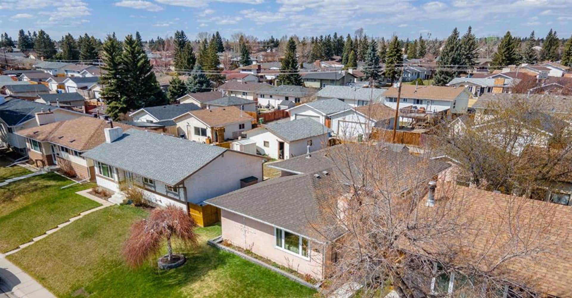 Detached homes and mature trees on a residential street in northeast Calgary