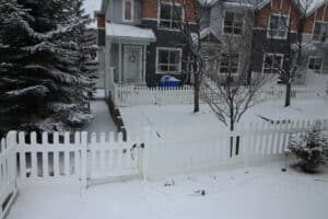 IMG 0308