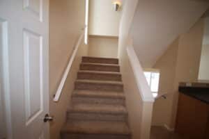 IMG 0329