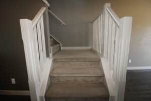 IMG 5963