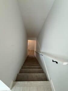 IMG 8594