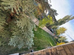 PHOTO 2025 10 03 19 16 39